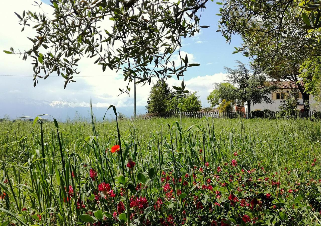 Casa Amrita, Yoga B&B Teramo Exterior foto